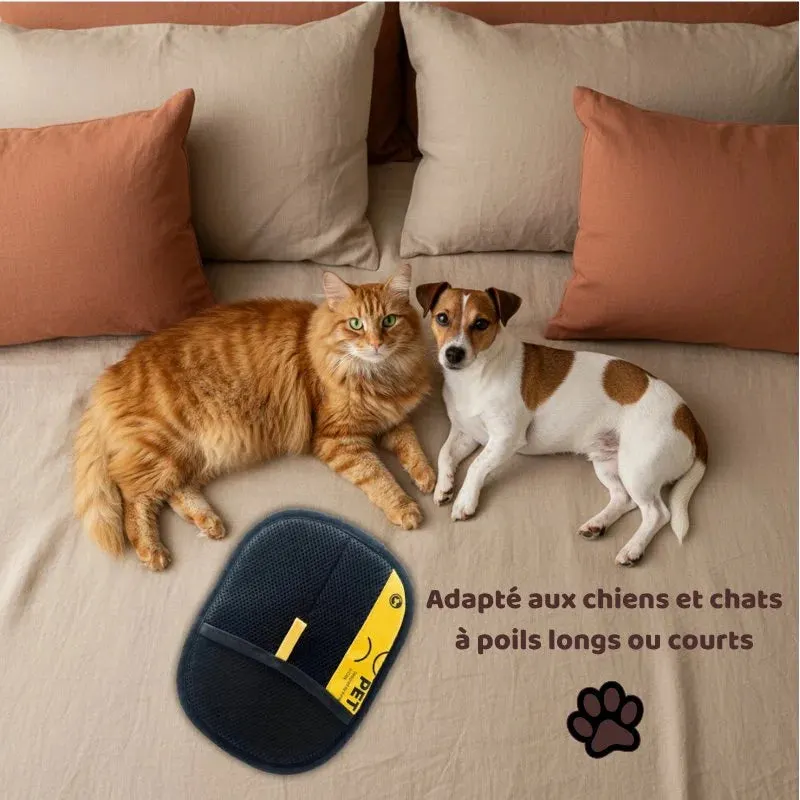 Chat et chien installés sur un lit propre